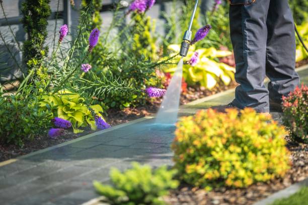 Best Post-Construction Pressure Washing  in Royal Palm Estates, FL