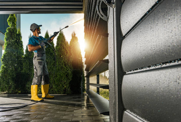 Best Driveway Pressure Washing  in Royal Palm Estates, FL