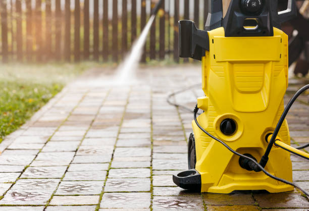Best Gutter Cleaning  in Royal Palm Estates, FL